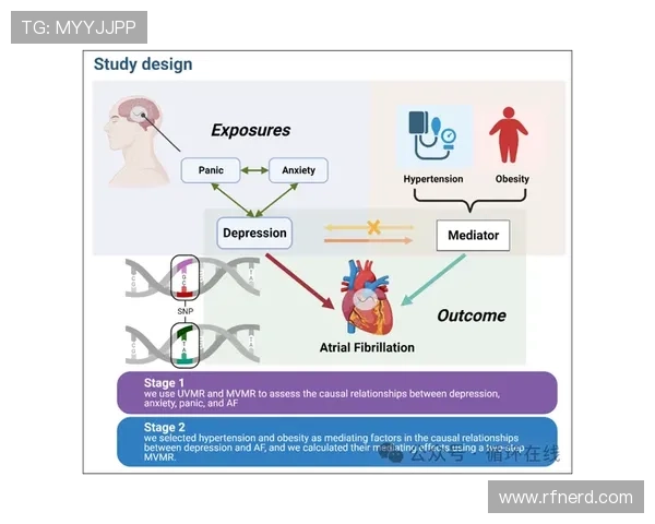 麦迪逊生涯个人表现与团队成绩关联分析